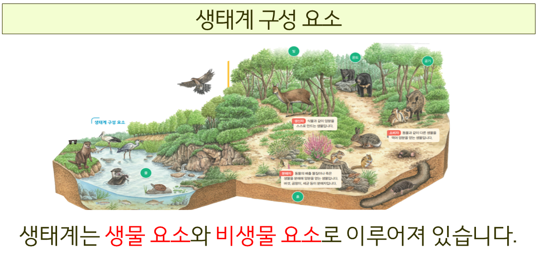 생태계 구성 요소 그림(생물 요소와 비생물 요소 예시)