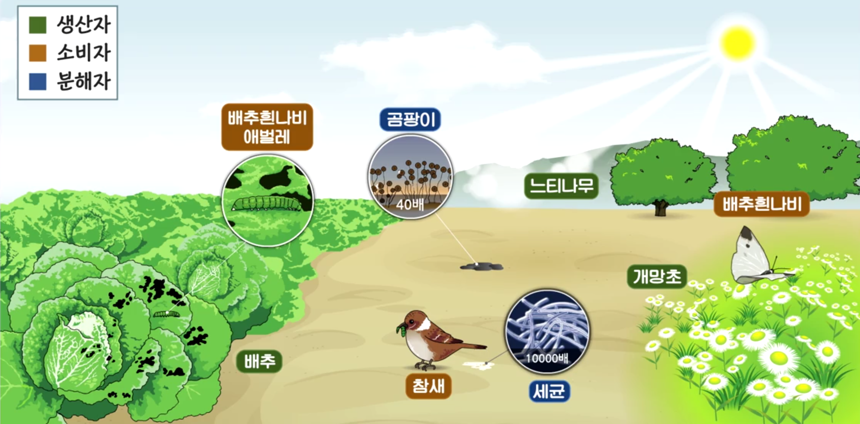 생산자 소비자 분해자의 양분 획득 방식 비교 그림